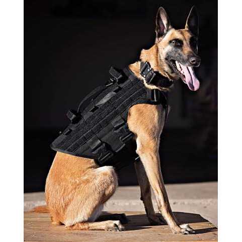 Pet Harness Q4507