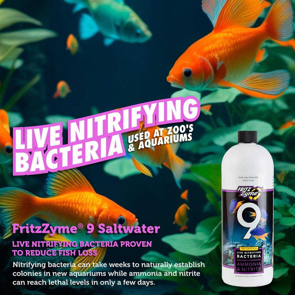 32 oz Saltwater Nitrifying Bacteria E450186