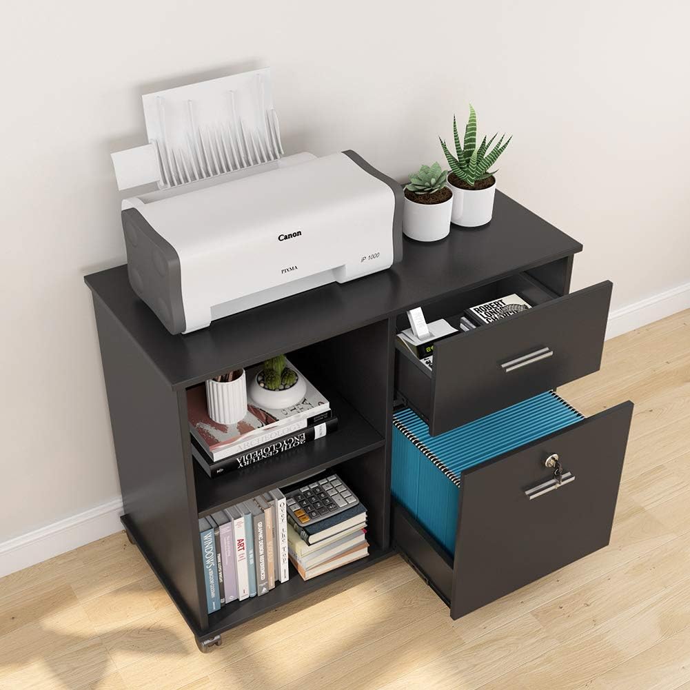 2 Drawer File Cabinet with Lock, Mobile Lateral Filing Cabinet with Wheels and Shelves F709