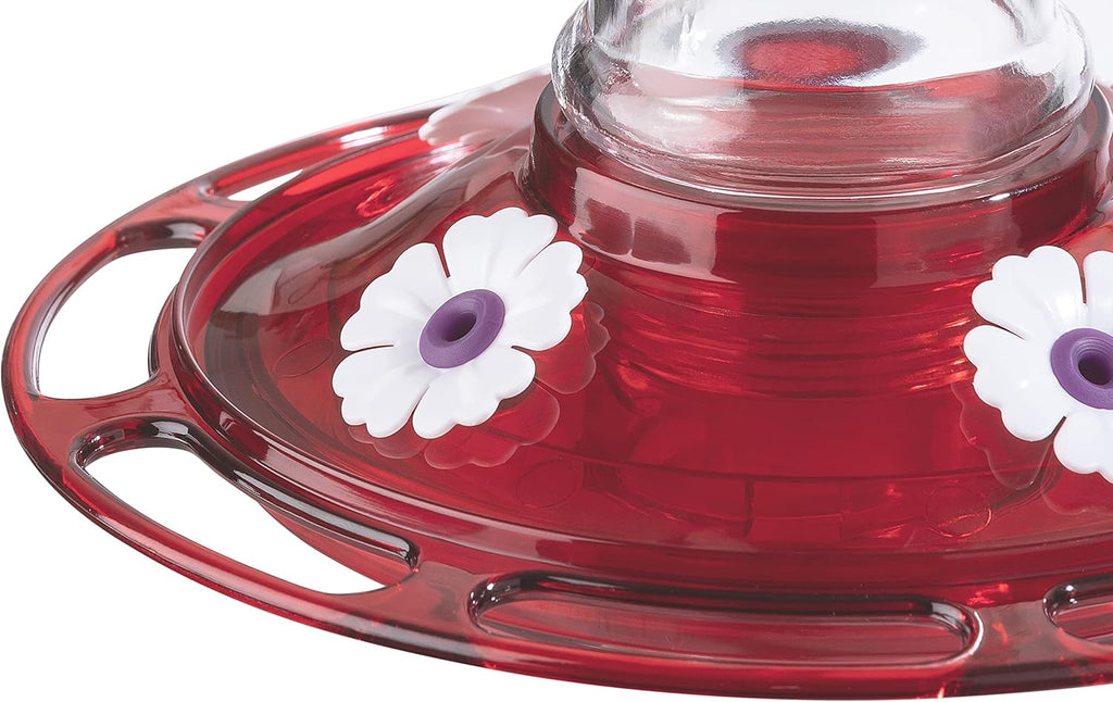 Glass Hummingbird Feeder, 5 Feeding Stations, 40 Ounces Y1376