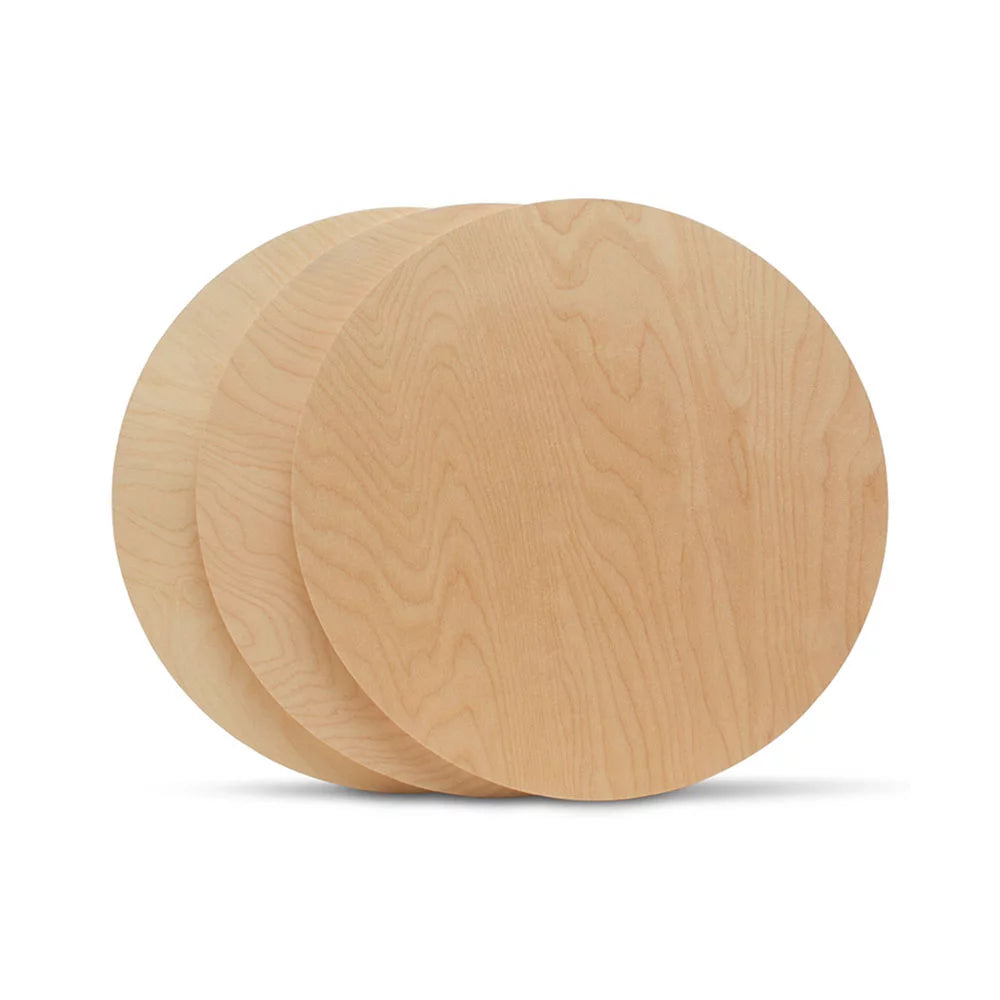 14 inch Unfinished Birch Wood Circles Pack of 10 L6545