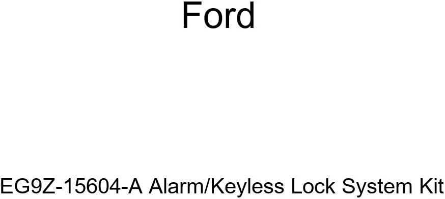Alarm/Keyless Lock System Kit Q3613