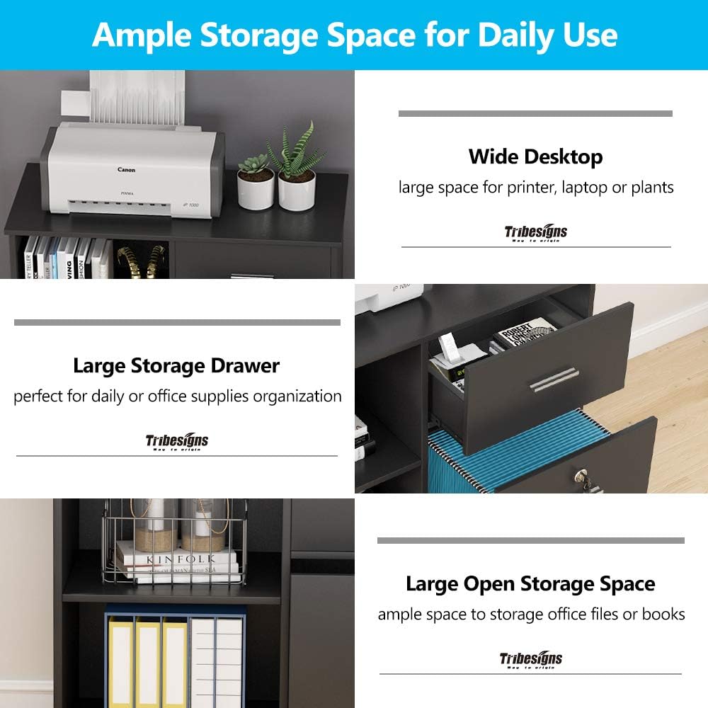 2 Drawer File Cabinet with Lock, Mobile Lateral Filing Cabinet with Wheels and Shelves F709