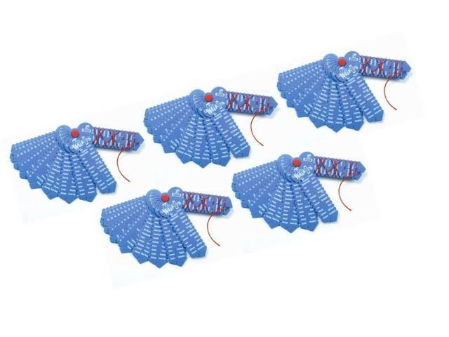 US States & Capitals Keys 5 Pack X45262