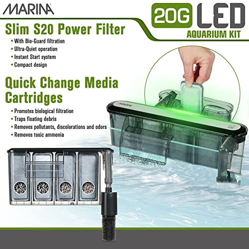 5 Gallon LED Aquarium Kit Z4807