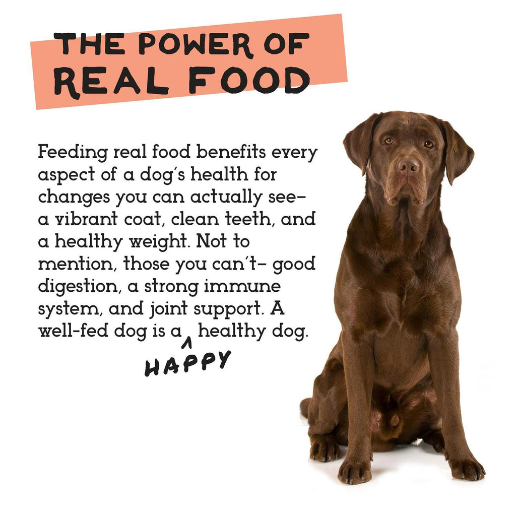 Freeze-Dried Dog Food Chicken & Turkey Z739549