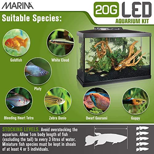 5 Gallon LED Aquarium Kit Z4807