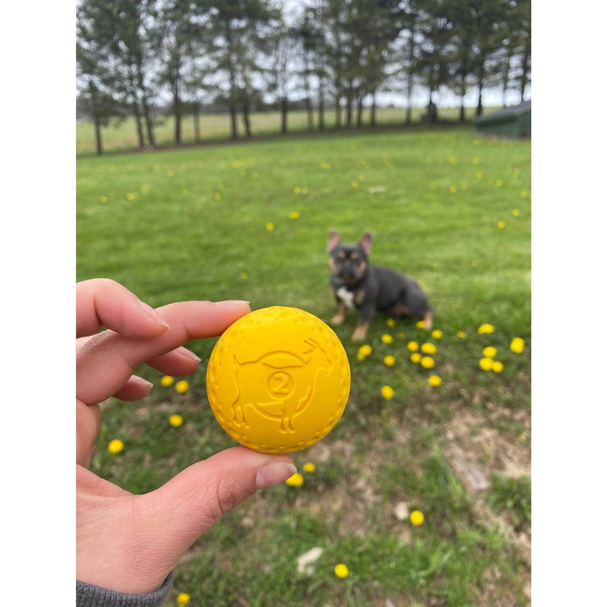 Goat Sport Ball Dog Toy R524