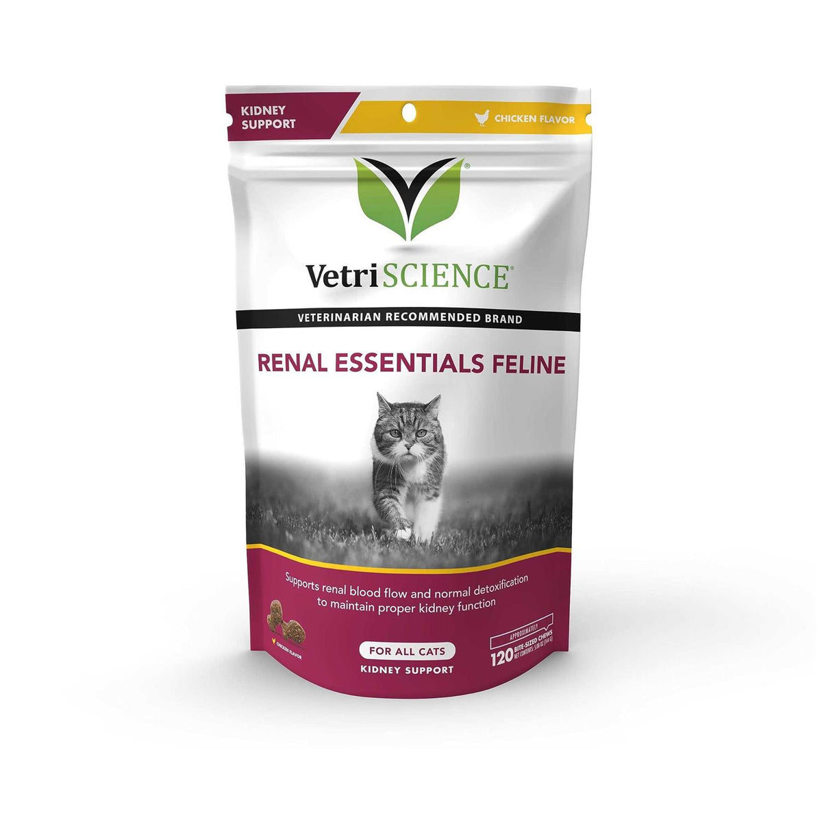 Renal Essentials Feline X1810