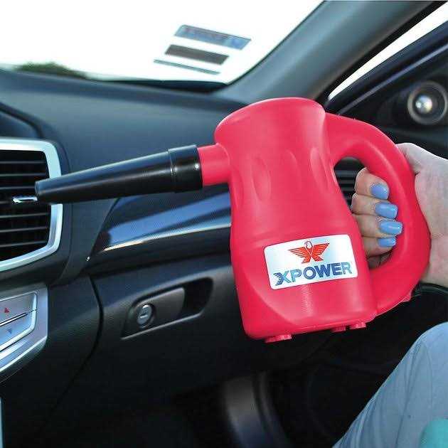 Multipurpose Pet Dryer J597