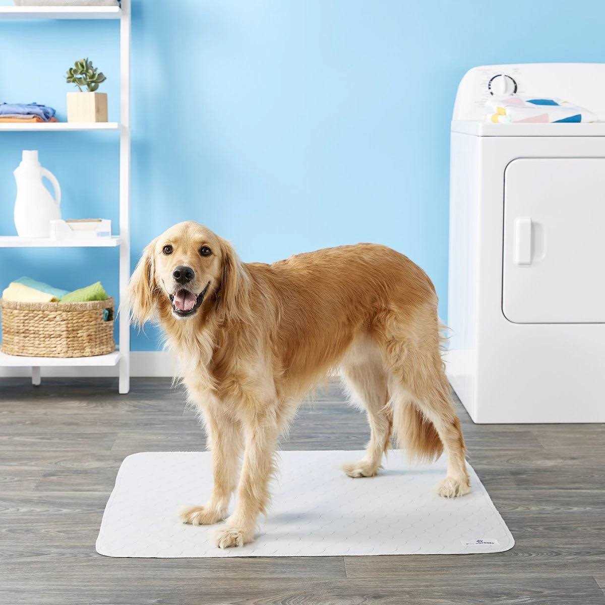 Washable Dog Pee Pads A162