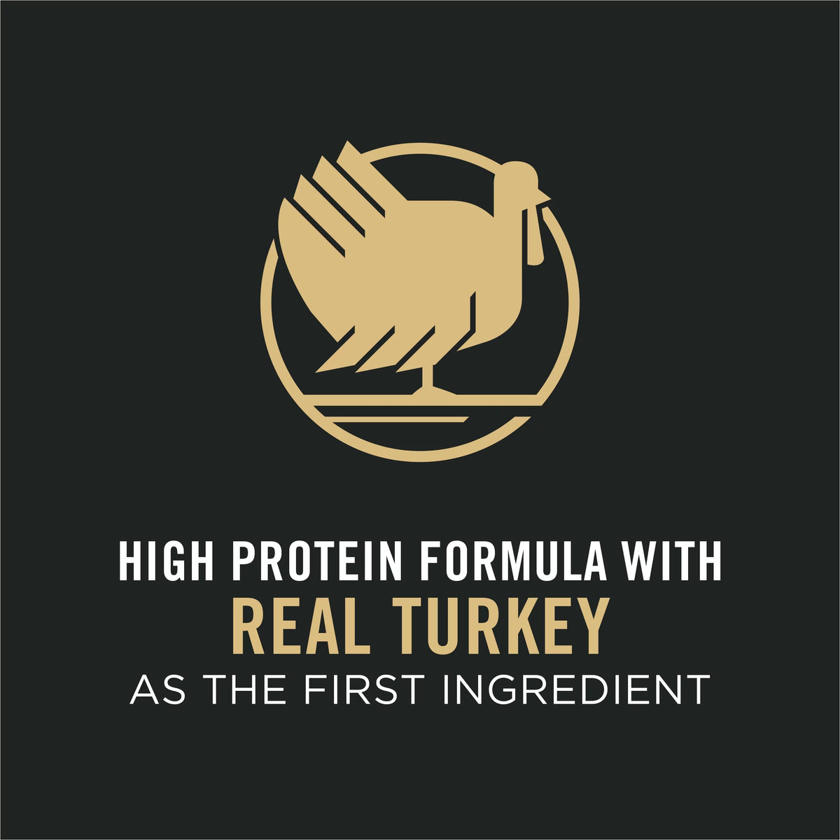 Shredded Blend Turkey & Rice Formula Dog Food, 33 lb. Bag K774