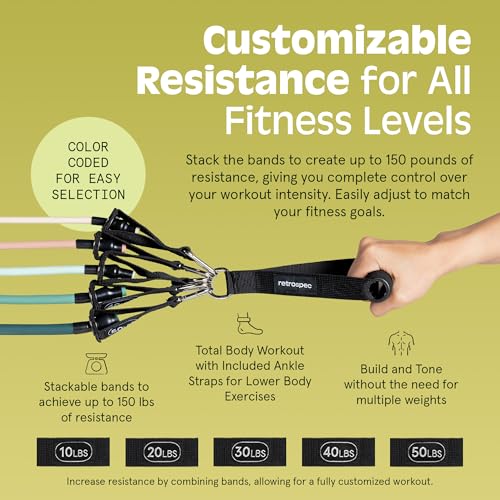 Resistance Bands Set 5pc with Handles, Door Anchor, Carry Bag R2443