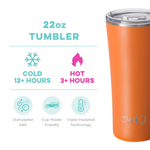 22oz Insulated Stainless Steel Tumbler T283353
