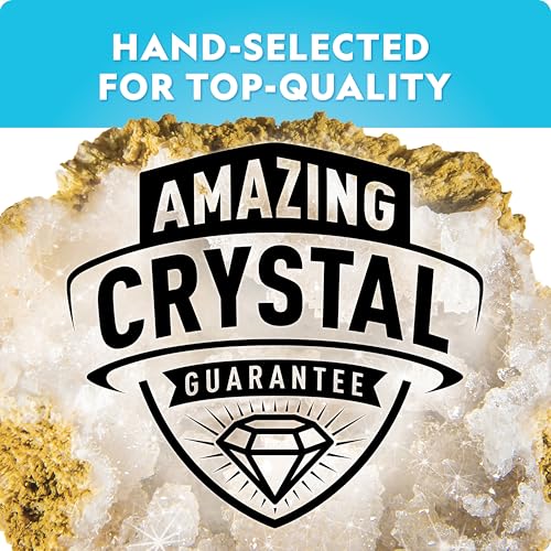 15 Premium Geodes Science Kit S206633