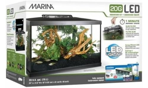 5 Gallon LED Aquarium Kit Z4807