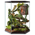 20 Gallon Vertical Hexagon Terrarium K941