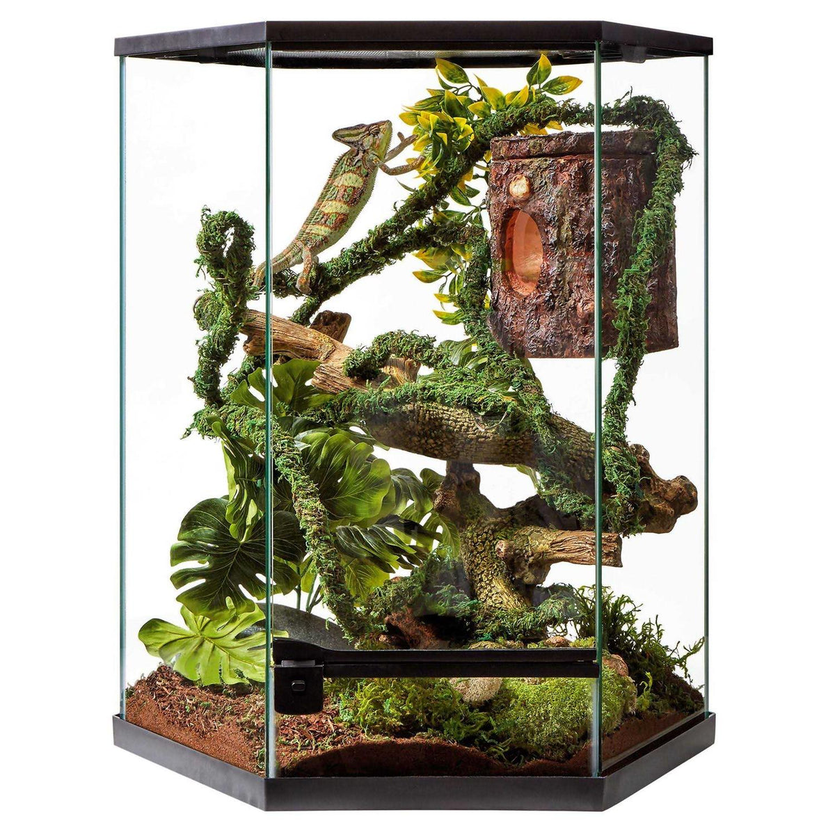 20 Gallon Vertical Hexagon Terrarium K941