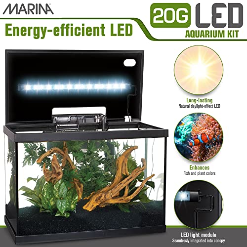 5 Gallon LED Aquarium Kit Z4807
