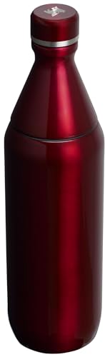 20 oz Insulated Stainless Steel Water Bottle with Twist off Lid H520957