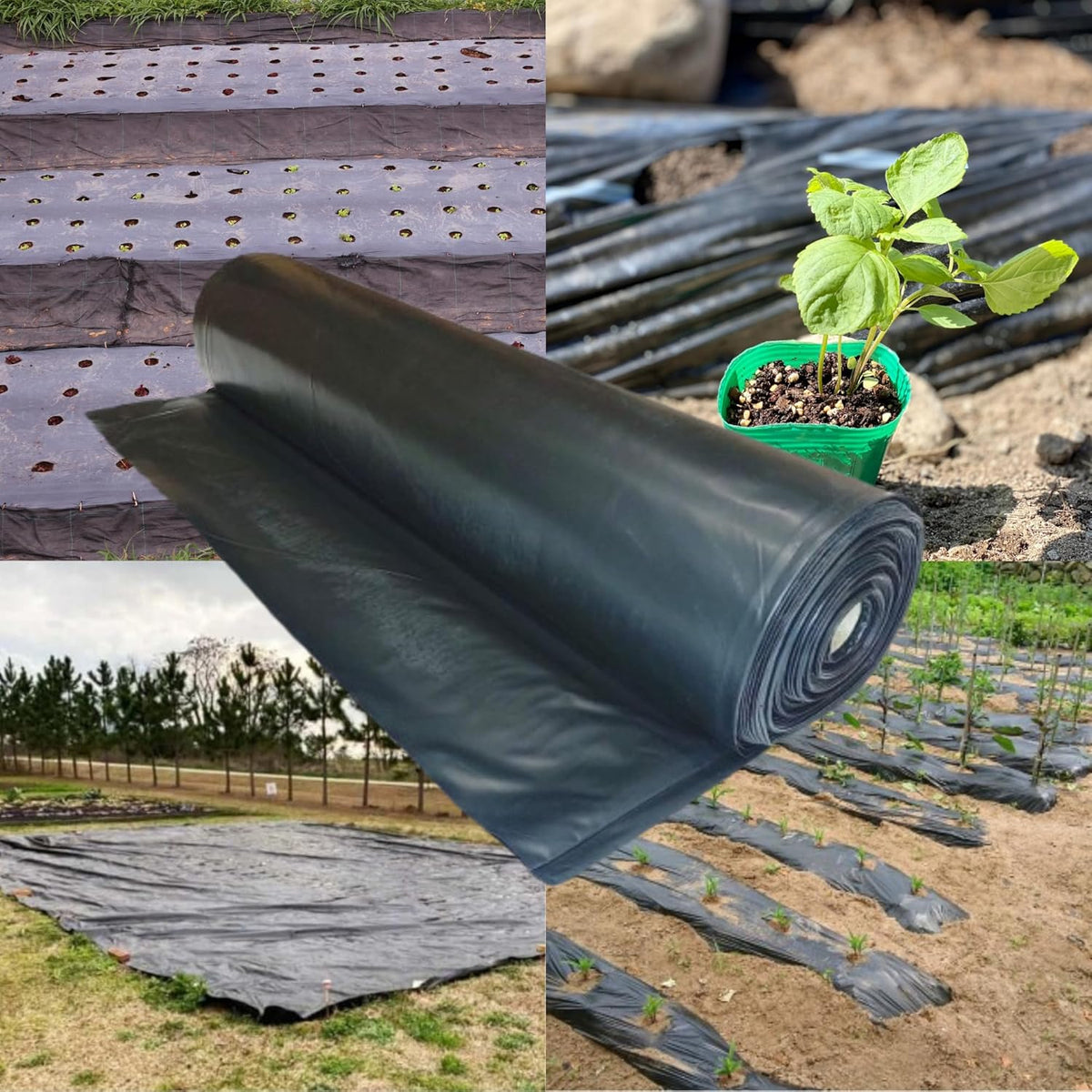 6 Mil Black Plastic Sheeting Weed Barrier Landscape Fabric (40' x 200') Z2116