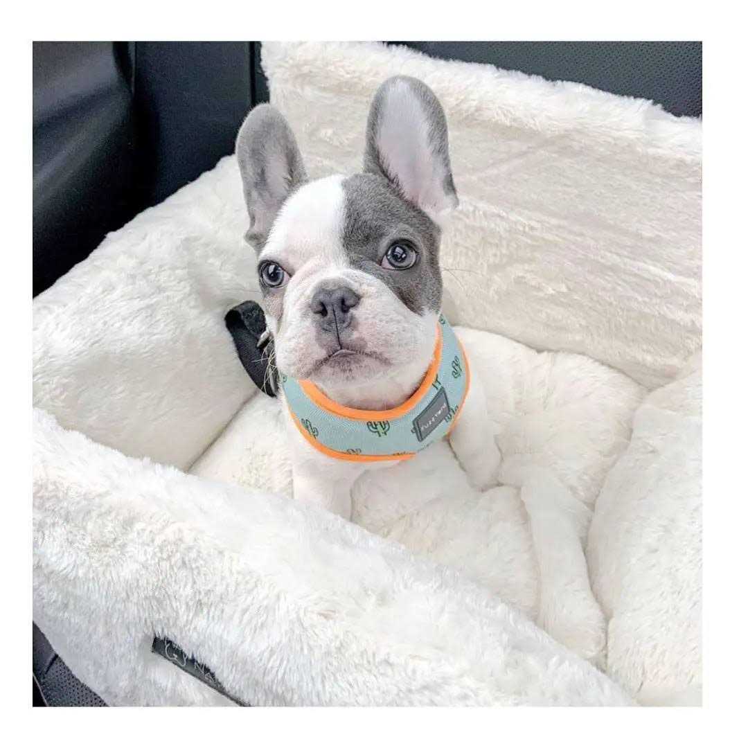 Ivory Cloud Dog Car Seat Bed Q11002