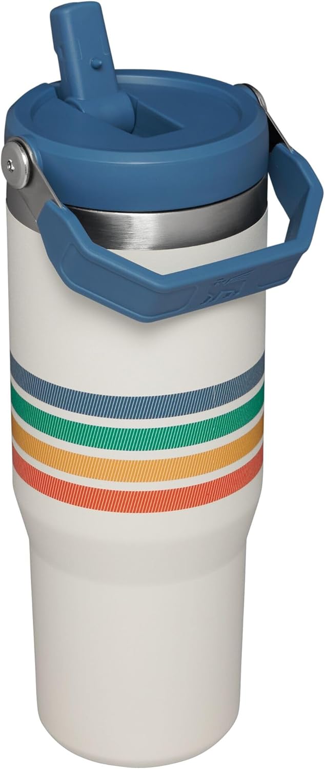 30 oz Stainless Steel Vacuum Insulated Tumbler with Straw S291068