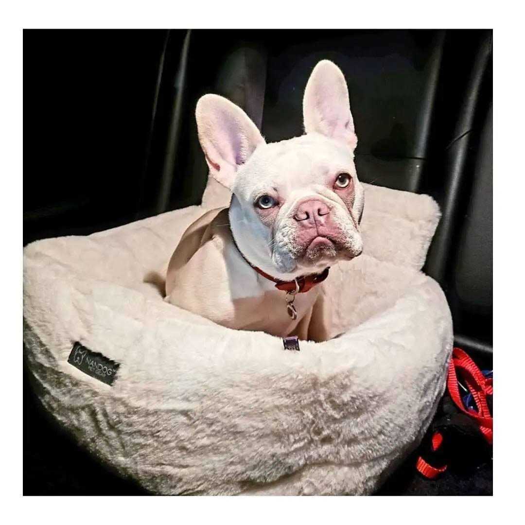 Ivory Cloud Dog Car Seat Bed Q11002