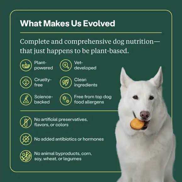 Veggie Chick'n Kabob Flavor Dry Dog Food Q445