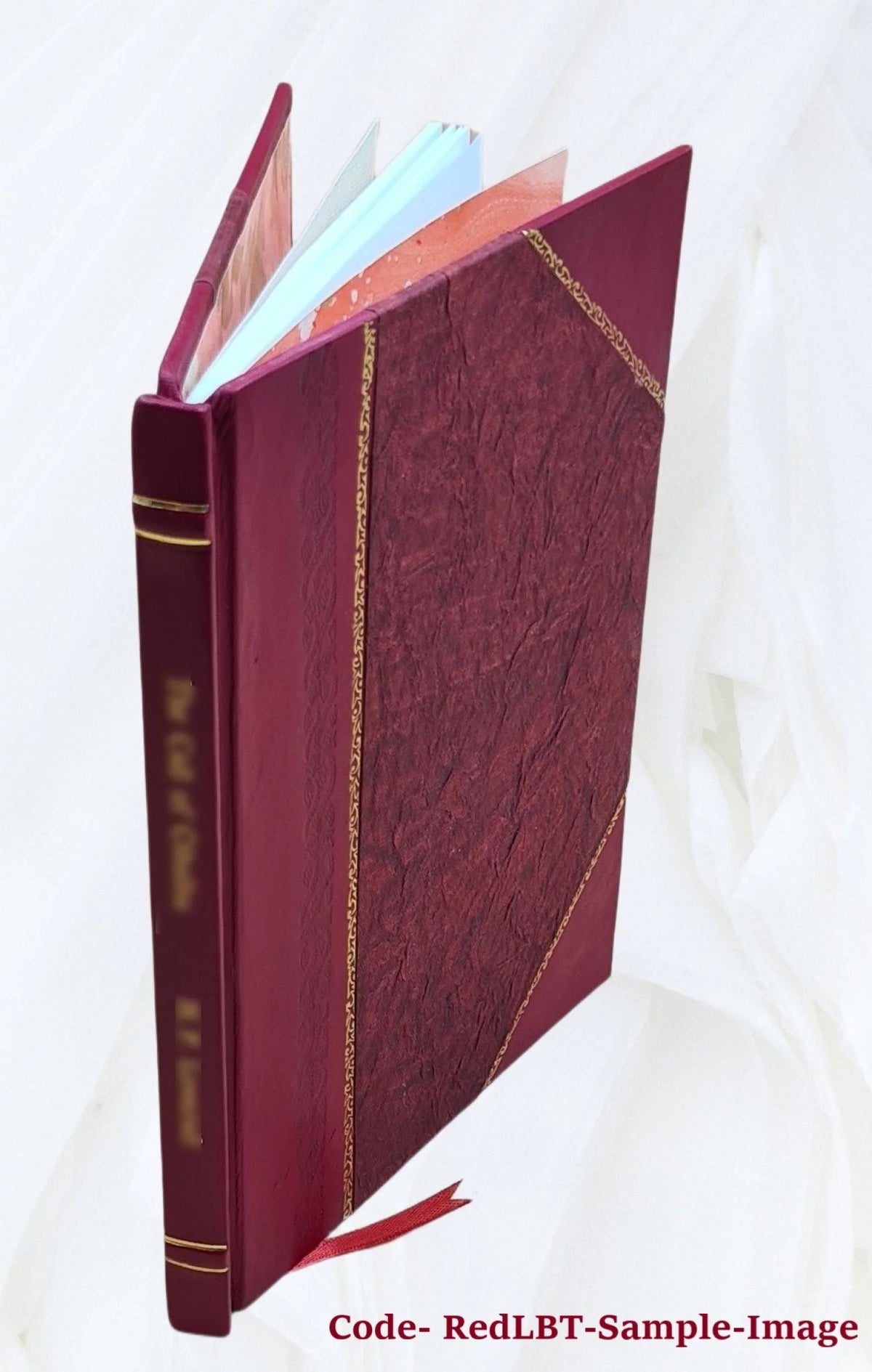 1917 Leather Bound Volume E201