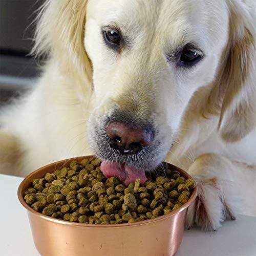 Pasture Raised Lamb Ancient Grains Dry Dog Food U2313