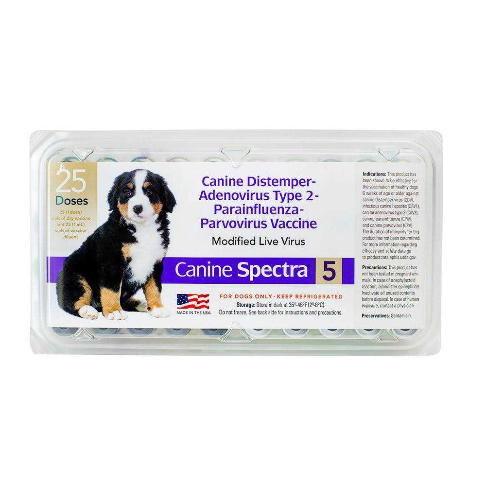 Dog Vaccine Y367571