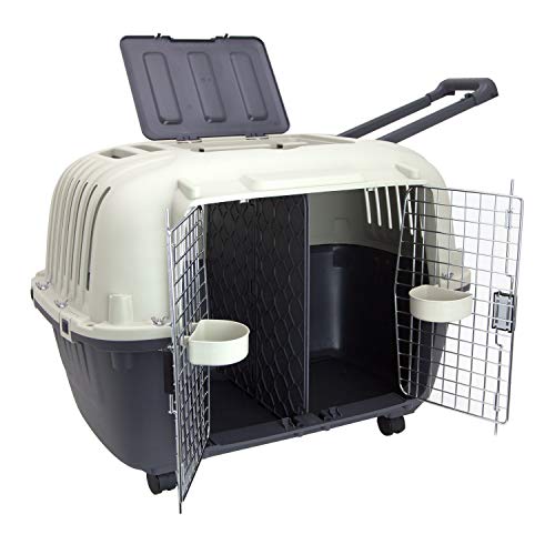 Large Gray Plastic Dog Crate G1562