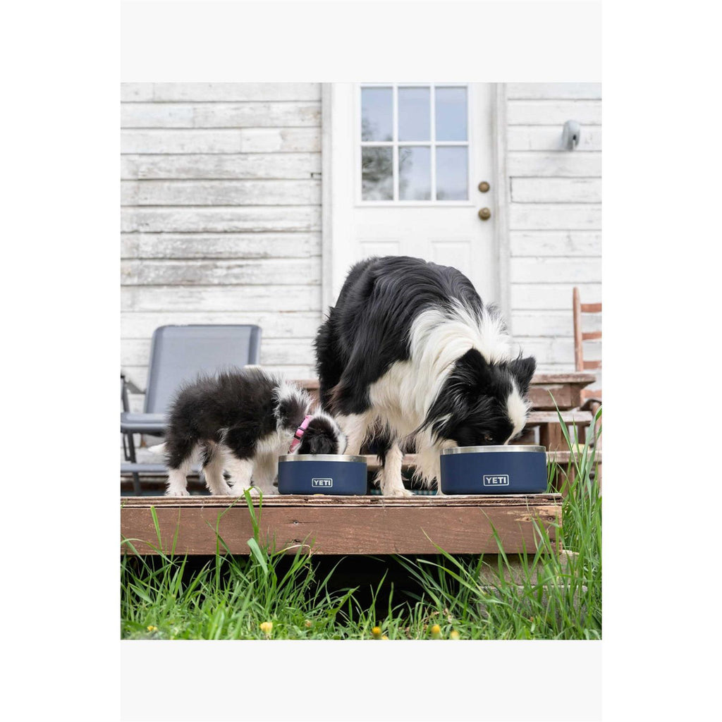 Dog Bowl B727