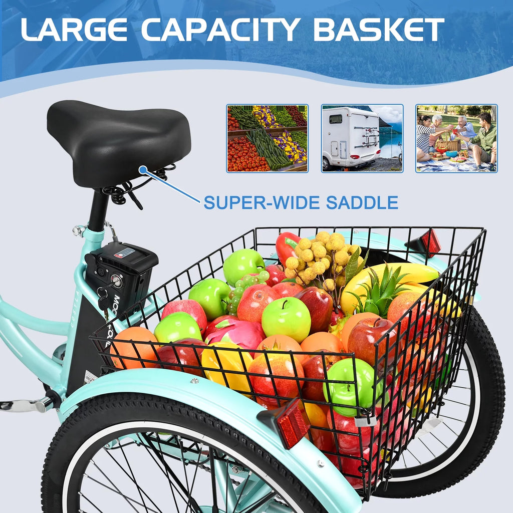 Electric Tricycle with Removable Lithium Battery E995