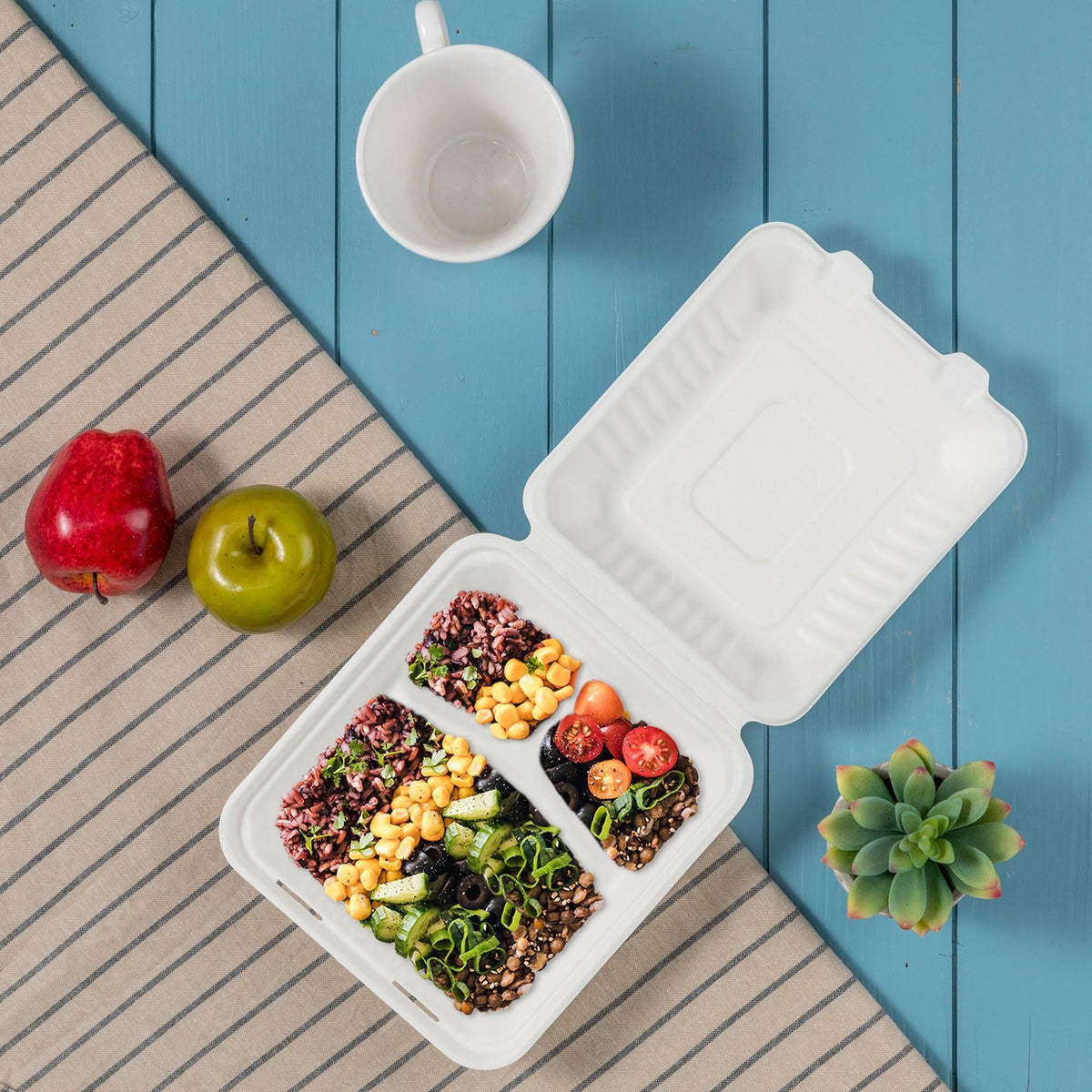 10 inch Natural Compostable Sugarcane Sectional Clamshell Containers, 300 Pack P24228