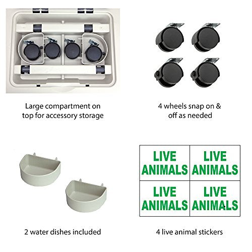 Large Gray Plastic Dog Crate G1562