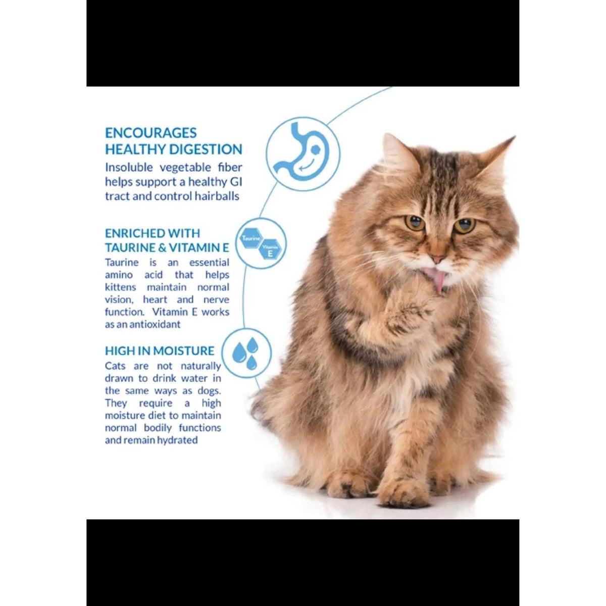 Chicken Cat Treat B968
