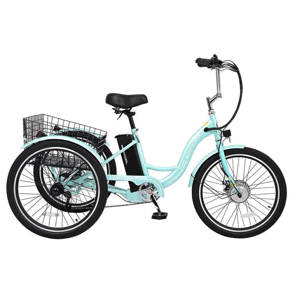 Electric Tricycle with Removable Lithium Battery E995
