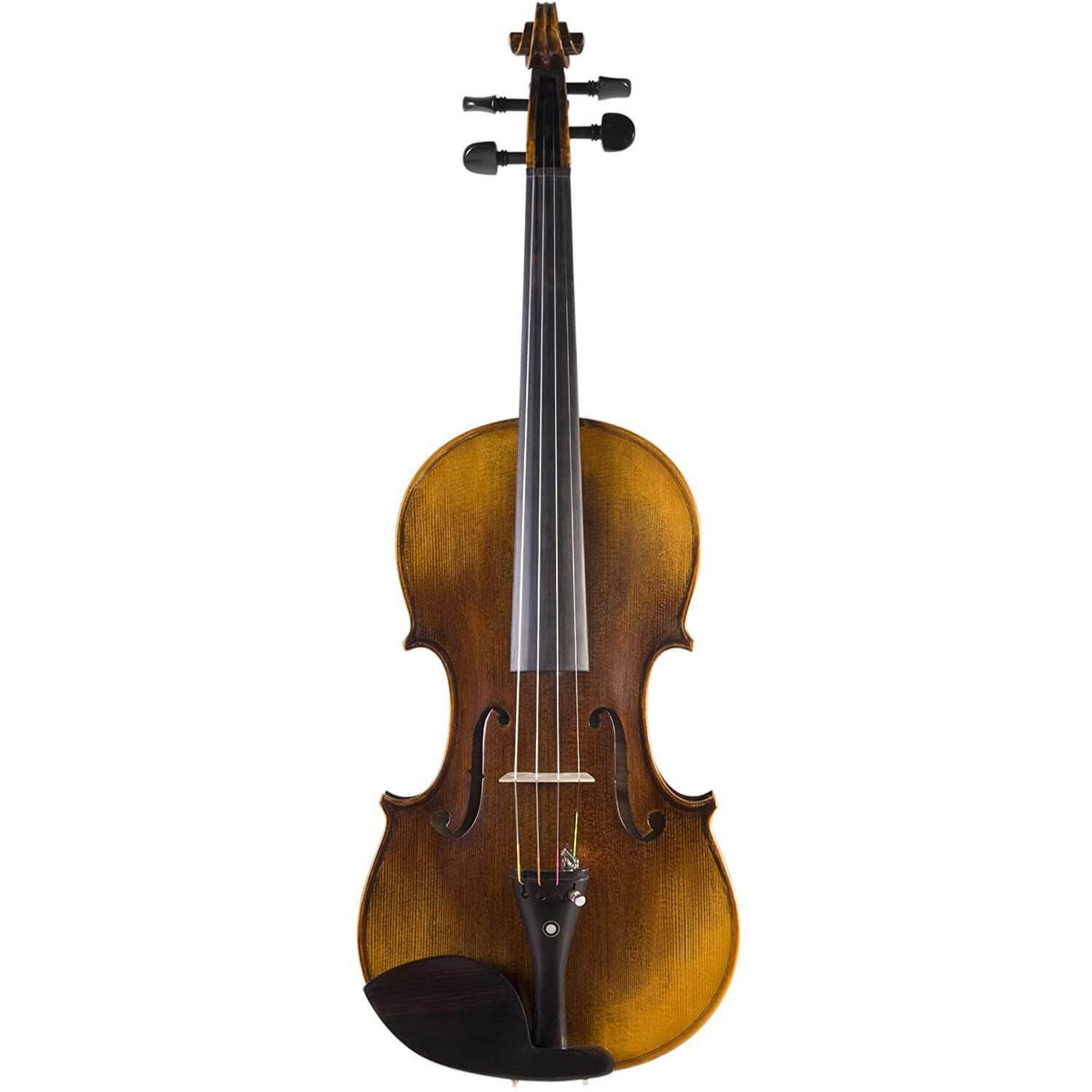 Solidwood Violin with D'Addario Prelude Strings Size 4/4 Z204