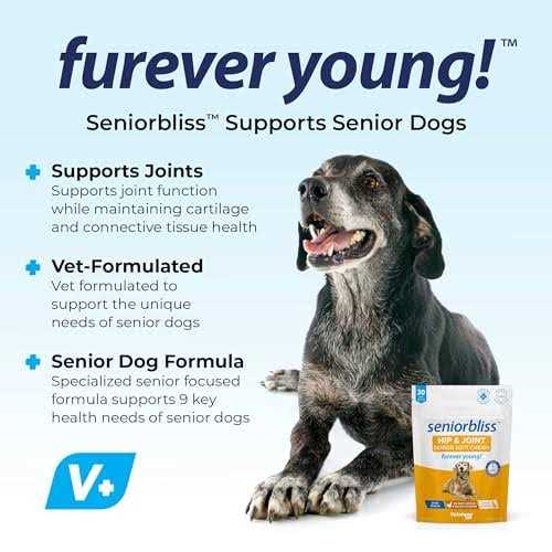 Supplement for Senior Dogs I995205