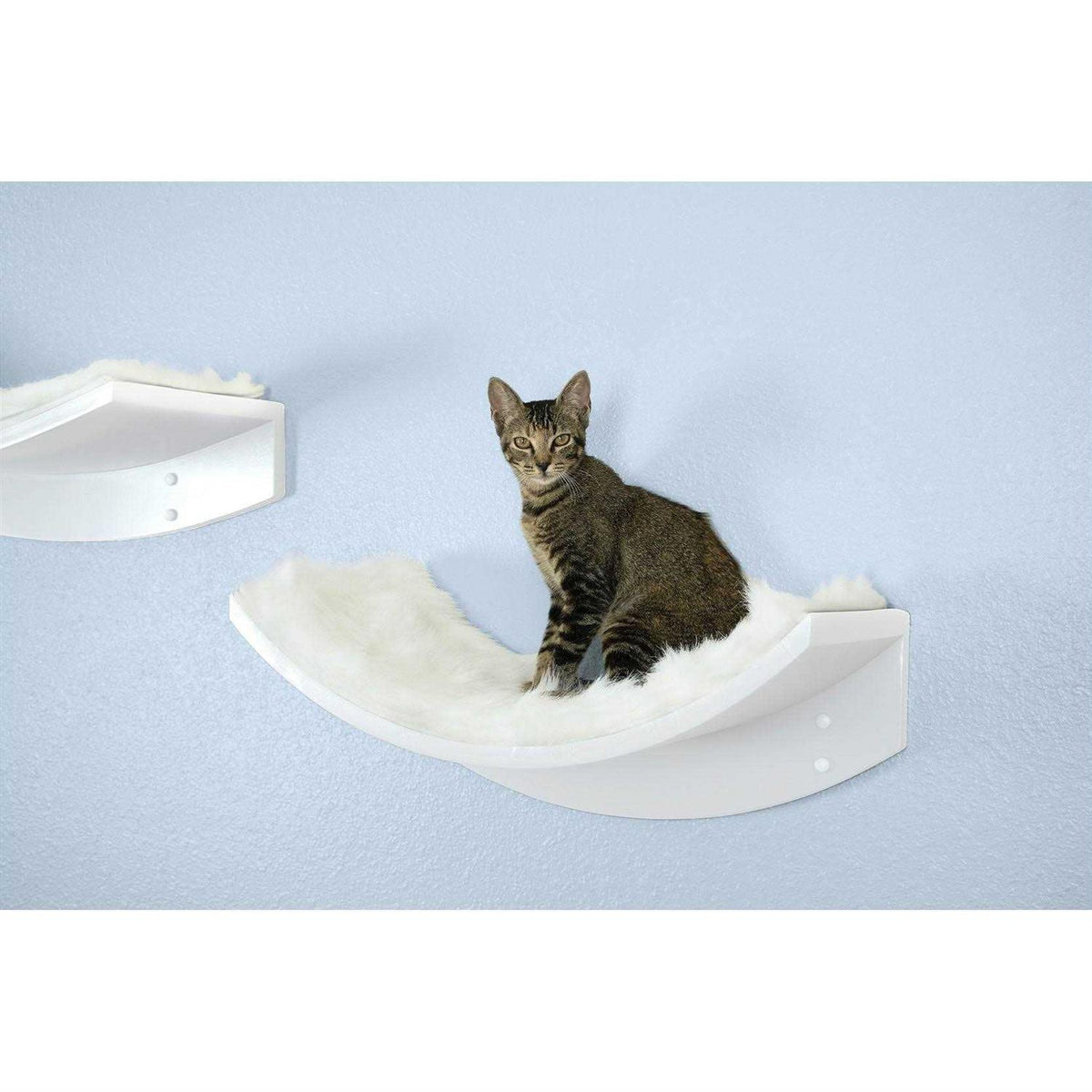 Cat Shelf M778326