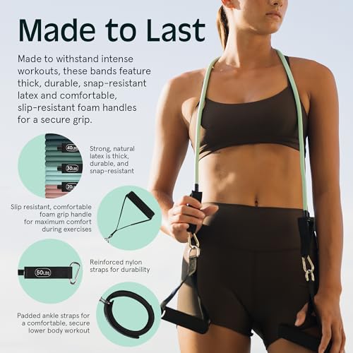 Resistance Bands Set 5pc with Handles, Door Anchor, Carry Bag R2443