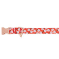 Adjustable Neoprene Dog Collar T591