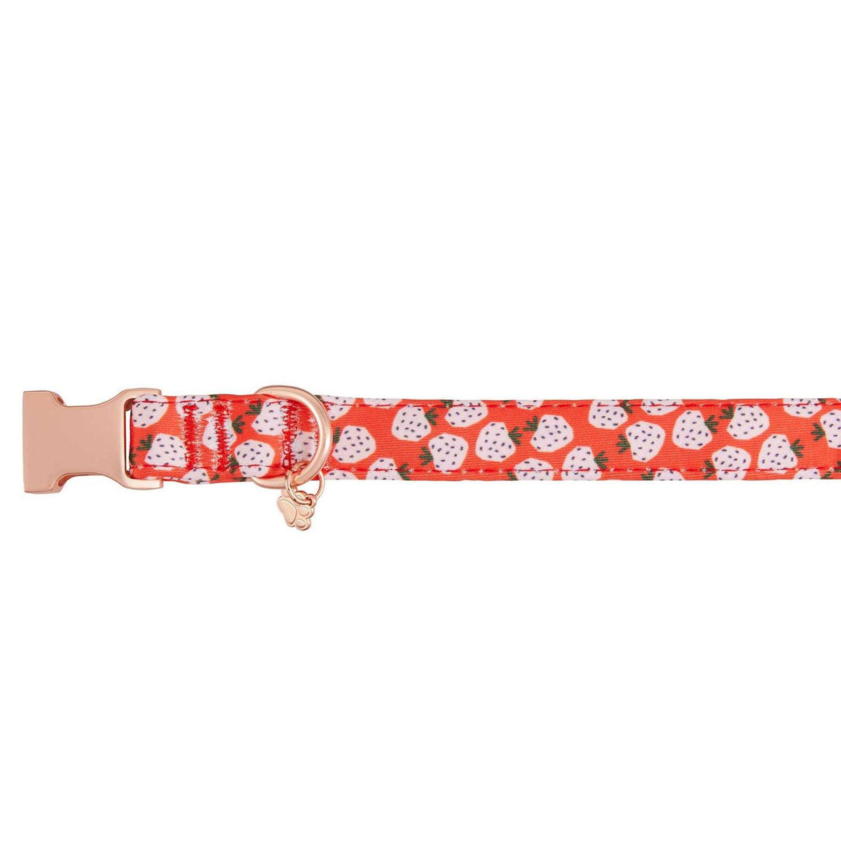 Adjustable Neoprene Dog Collar T591