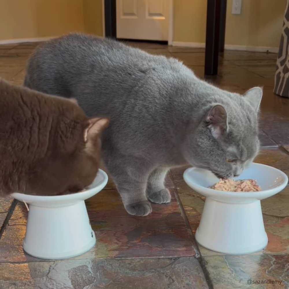 Cat Food Tuna D527