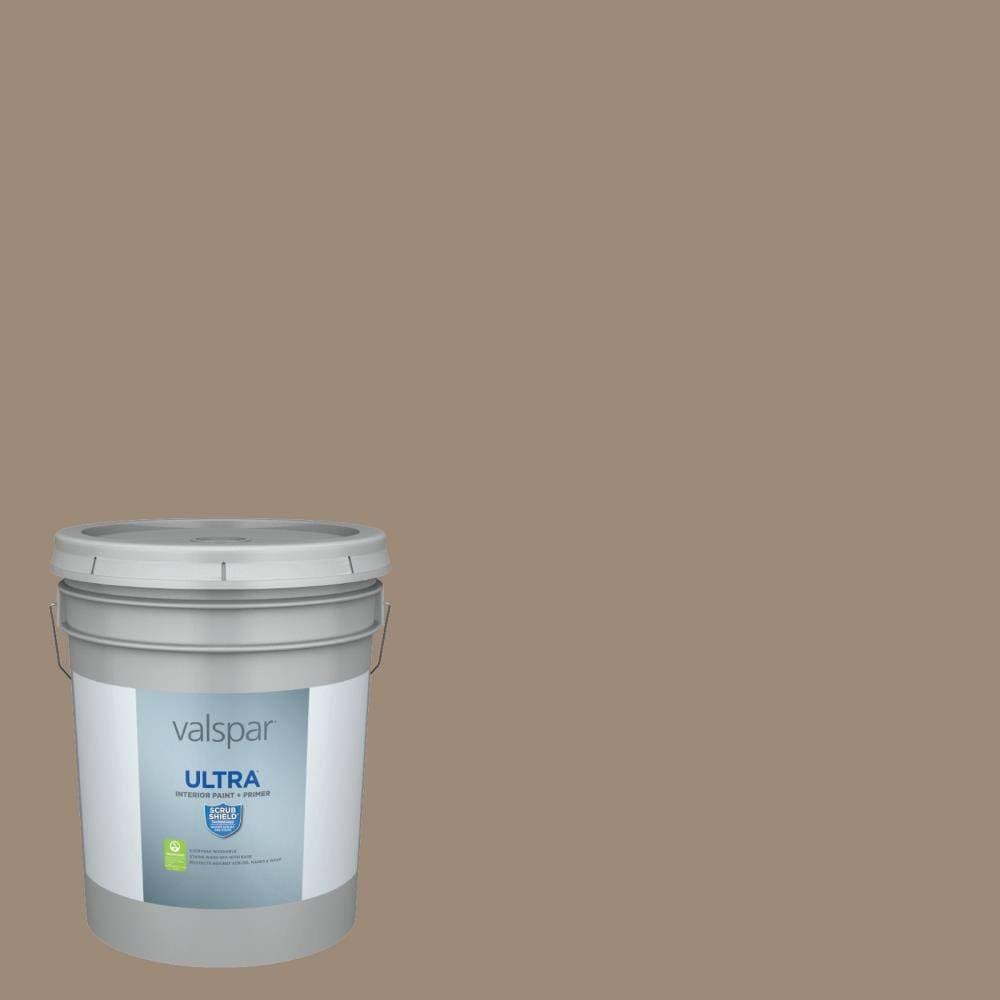 Interior Paint (5-Gallon) N654538