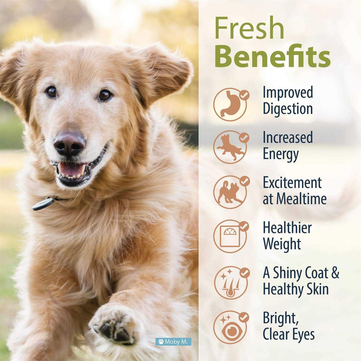 Frozen Fresh Dog Food T9473