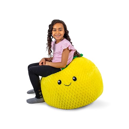 Classic Bean Bag Chair, Sapphire Smartmax, 2 feet Round U966