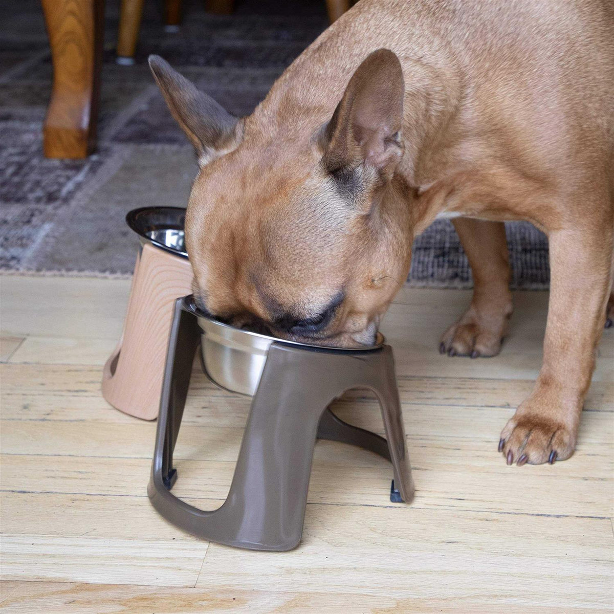 Raised Stainless Steel Food Bowls I43859